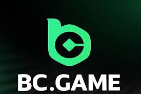 Comprehensive Guide to BC.Game Payment Methods 876171471